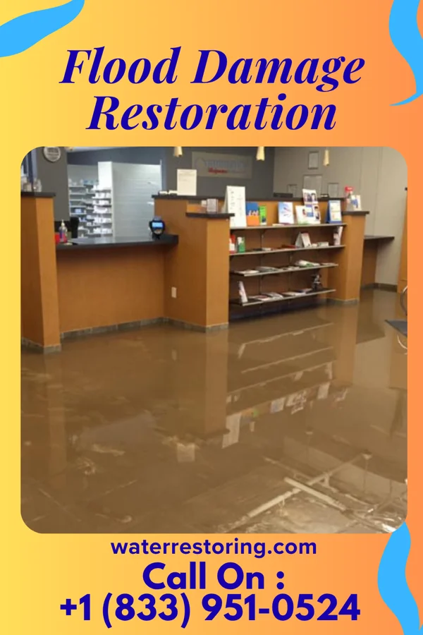 Flood Damage Restoration in Long Lake, IL