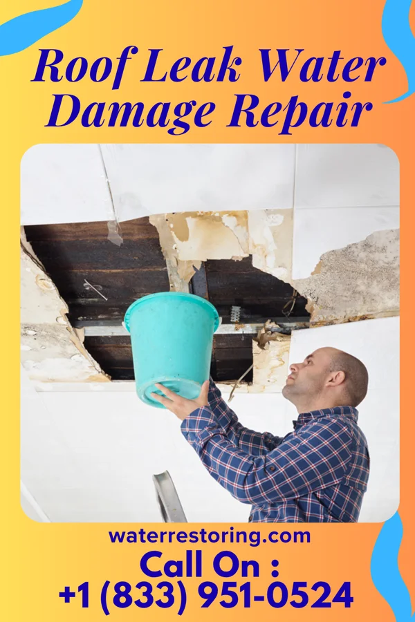 Roof Leak Water Damage Repair in Long Lake, IL